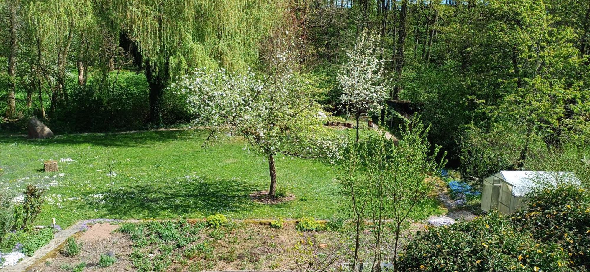 Wohnung In Medlitz Rattelsdorf Exteriér fotografie